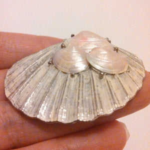 Sea Shell Brooch / Designer Signed Capri / Summer jewelry / Enamel Brooch / Shell Brooch