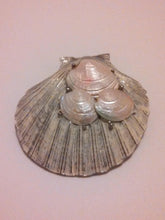 Load image into Gallery viewer, Sea Shell Brooch / Designer Signed Capri / Summer jewelry / Enamel Brooch / Shell Brooch
