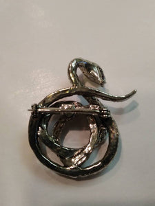 Vintage enamel snake brooch with Rhinestone eyes / Silver Tone